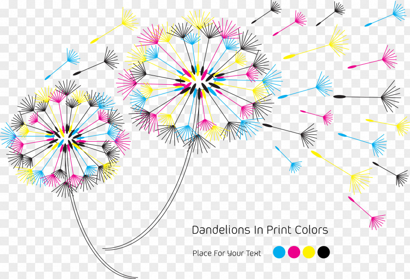 Color Dandelion CMYK Model Euclidean Vector RGB PNG