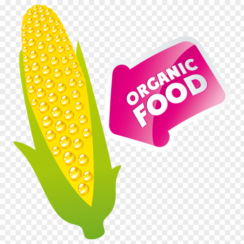 Corn Organic Food Euclidean Vector Icon PNG