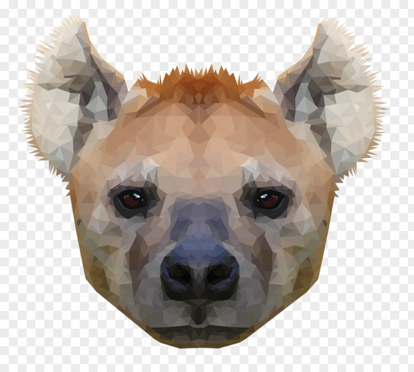 Hyena Animal Wildlife PNG