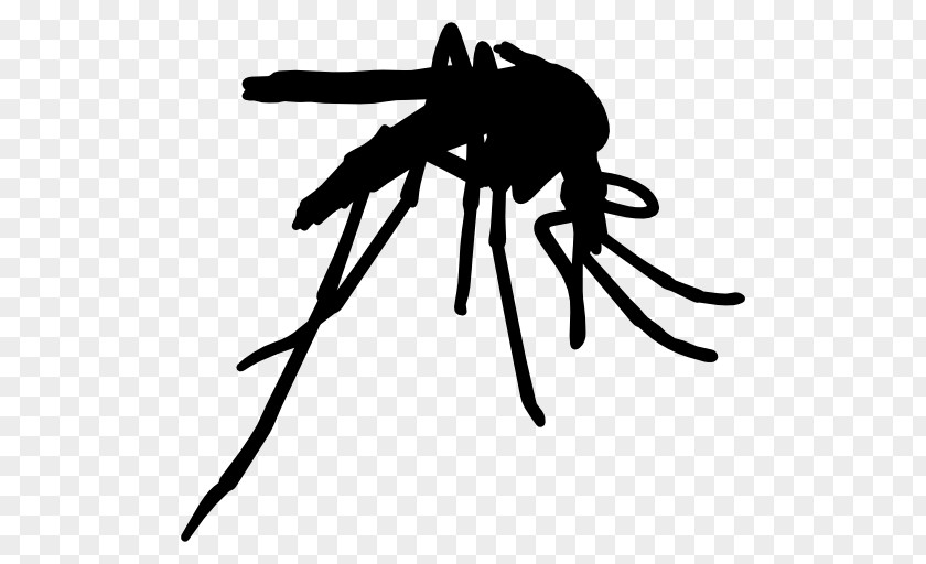 Mosquito Yellow Fever Insect Control Vector PNG