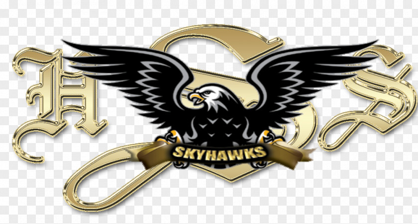 Scott High School National Secondary Skyhawks Sports Academy Education PNG