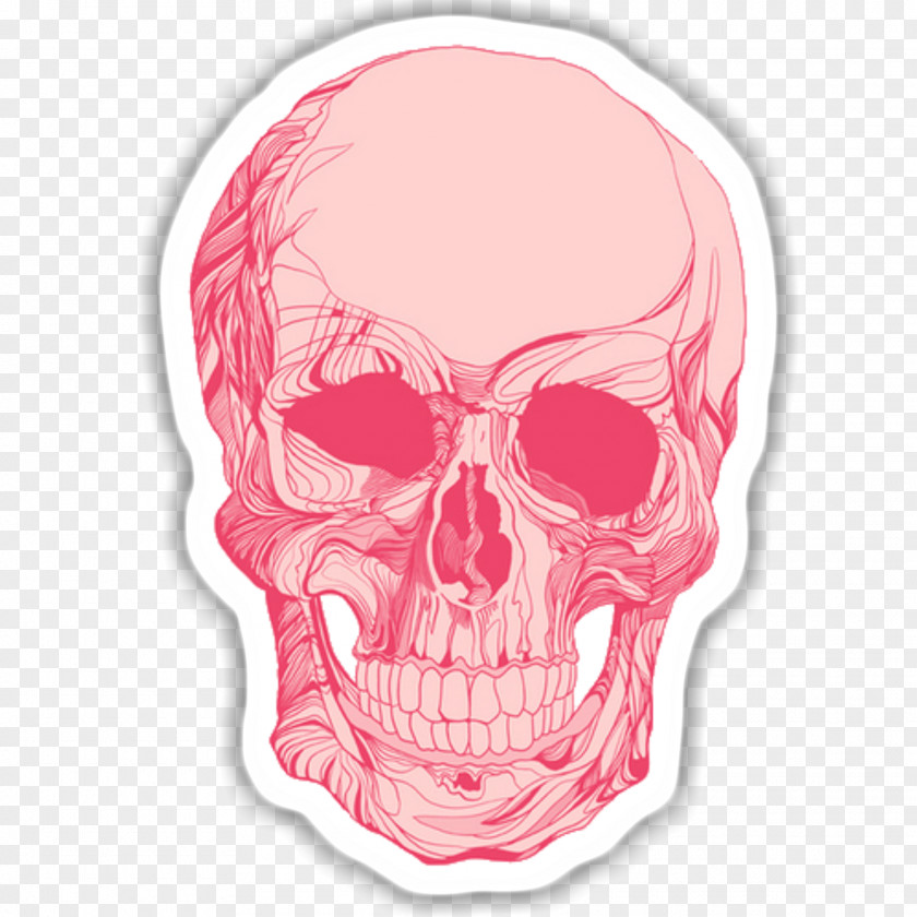 Skull Decals Calavera Clip Art Skeleton PNG