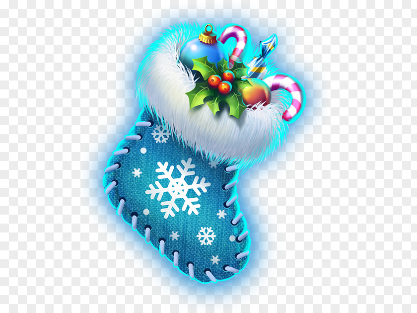 Christmas Ornament Organism Turquoise PNG