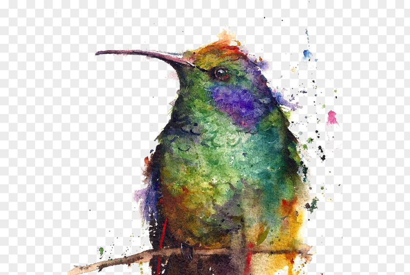 Creative Birds Hummingbird Watercolor Painting Watercolour Flowers Printmaking PNG