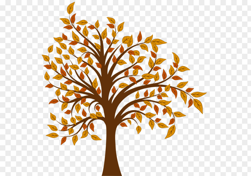 Fall Tree Autumn Clip Art PNG