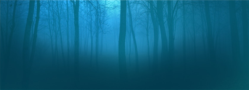 Forest Background Blue Turquoise Wallpaper PNG