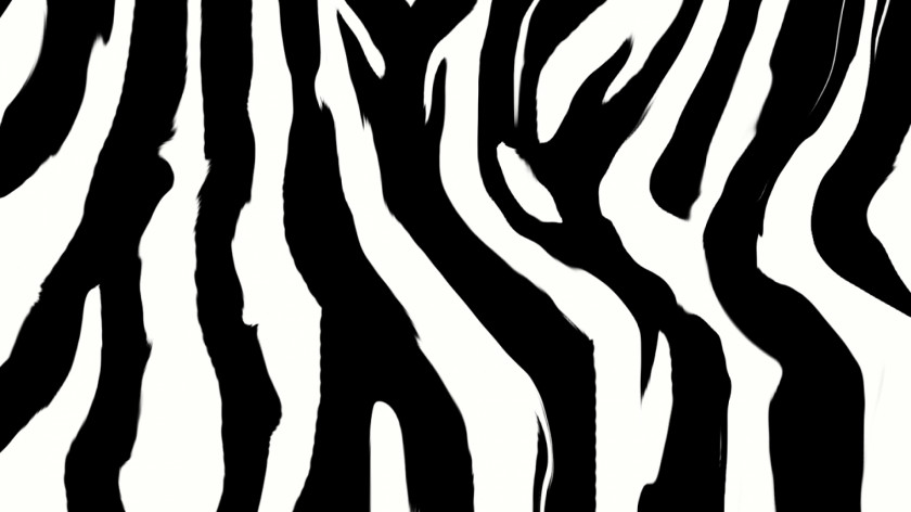 Zebra Animal Print Desktop Wallpaper Clip Art PNG