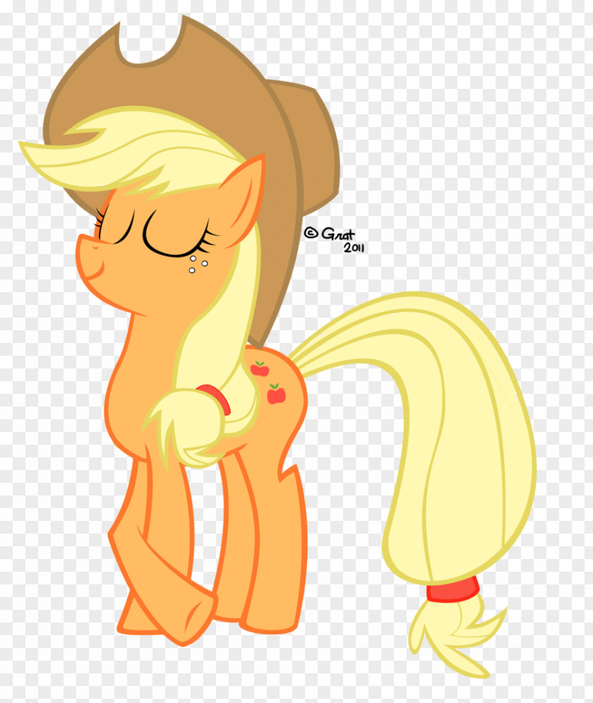 Apple My Little Pony: Friendship Is Magic Fandom Applejack Twilight Sparkle Rainbow Dash PNG