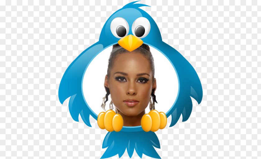 Bird Alicia Keys Beak Clip Art PNG
