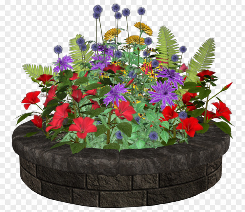Design Floral Flowerpot Flowering Plant Annual PNG