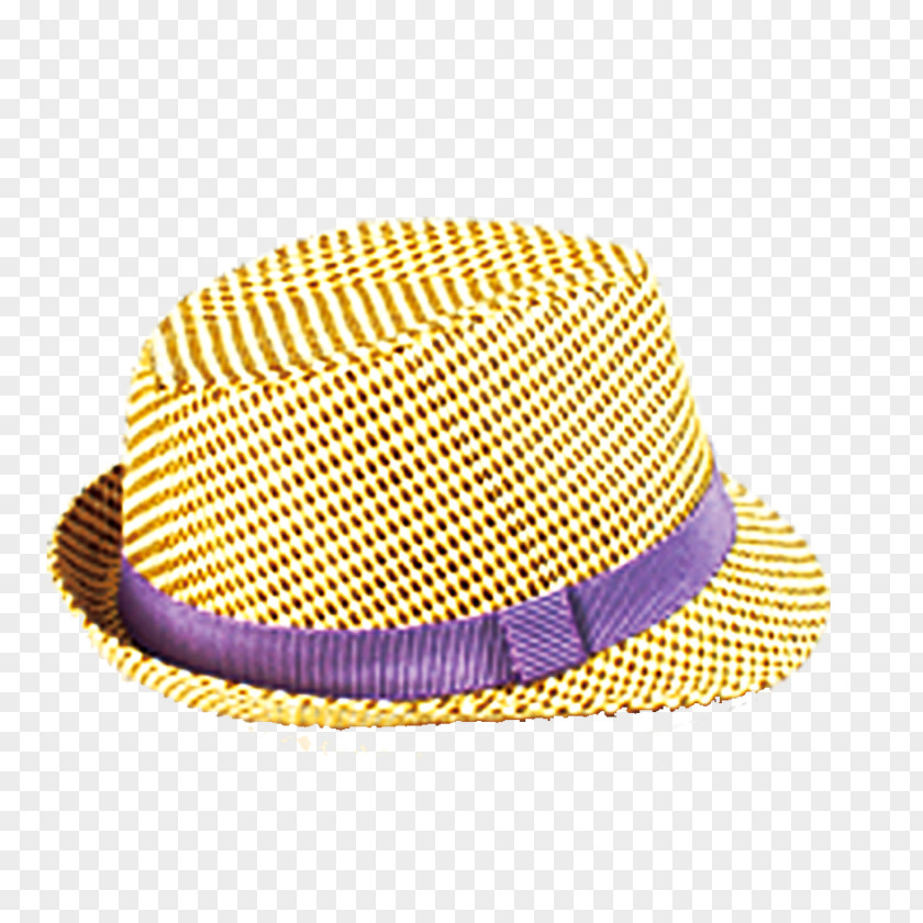 Ladies Hat Fedora Download PNG