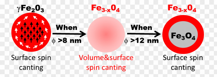 Metal Particles Magnetic Nanoparticles Ferrite Magnetism Iron PNG