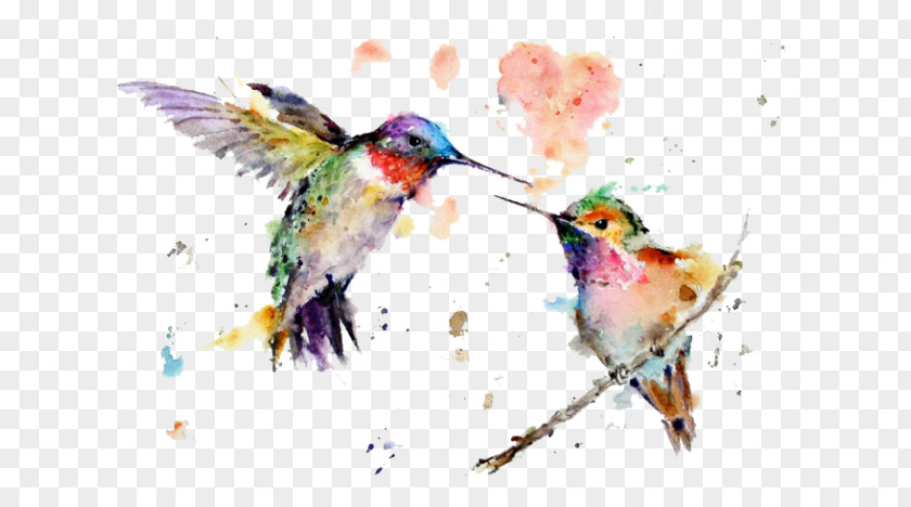 Painting Hummingbird Watercolor Art Drawing PNG