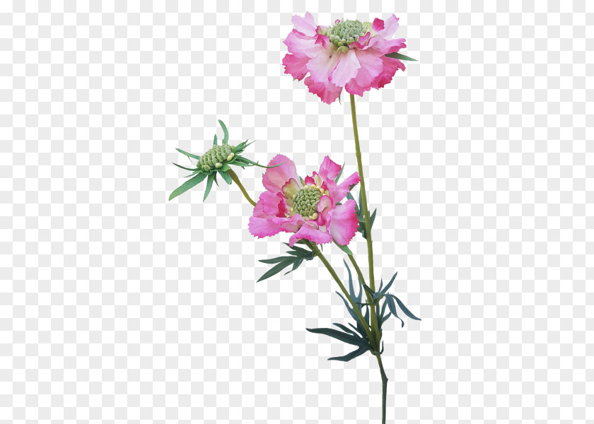 Artificial Flowers Mala Pink Cut Plant Stem Herbaceous PNG
