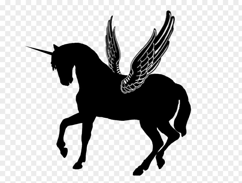 Elegant Unicorn Cliparts Horse Stallion Silhouette Clip Art PNG