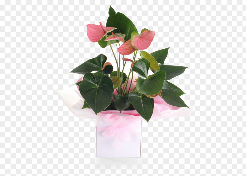 Flower Floral Design Flowerpot Cut Flowers PNG