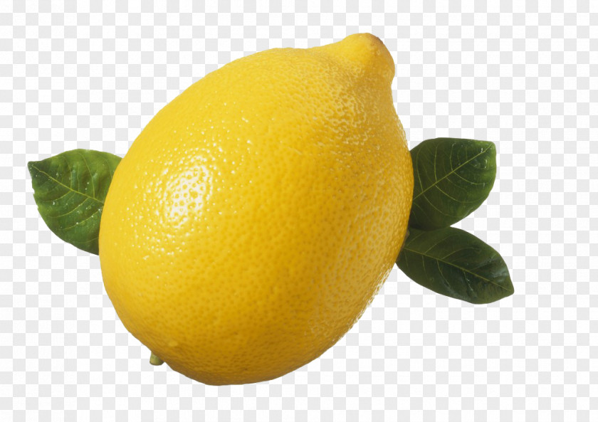 Golden Orange Sweet Lemon Tangelo PNG