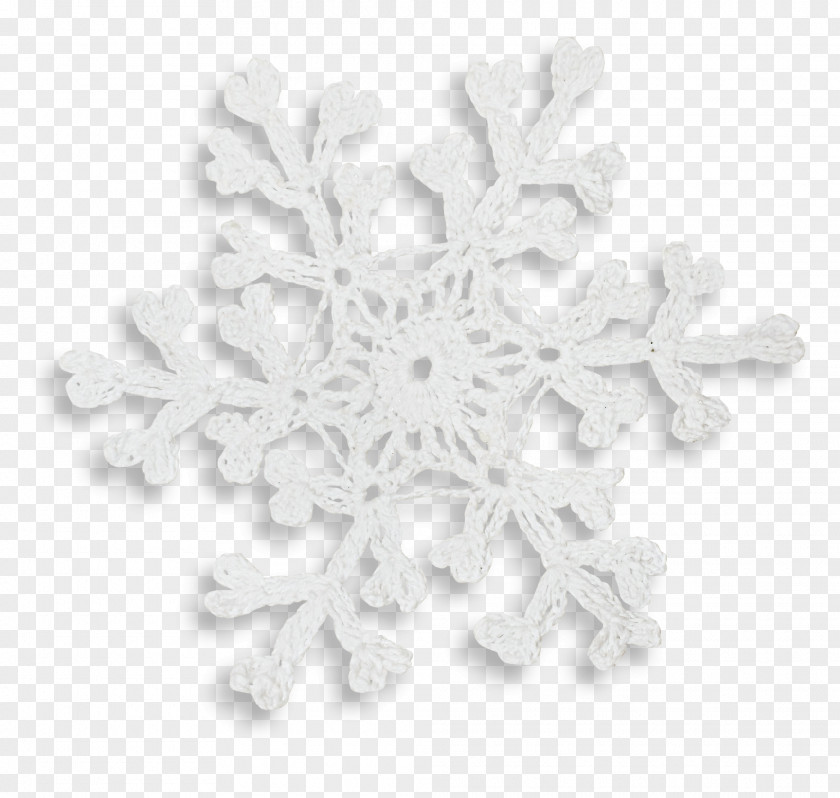 Grey Snowflake Creative Black And White Icon PNG