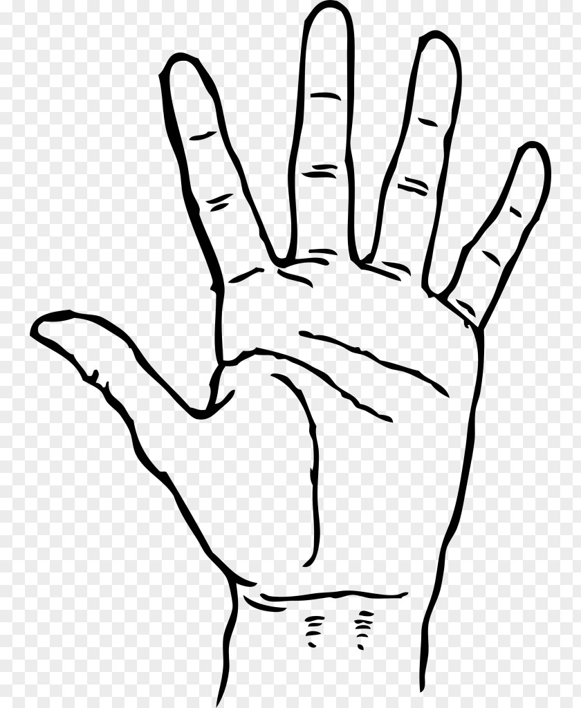 Hand Praying Hands Drawing Clip Art PNG