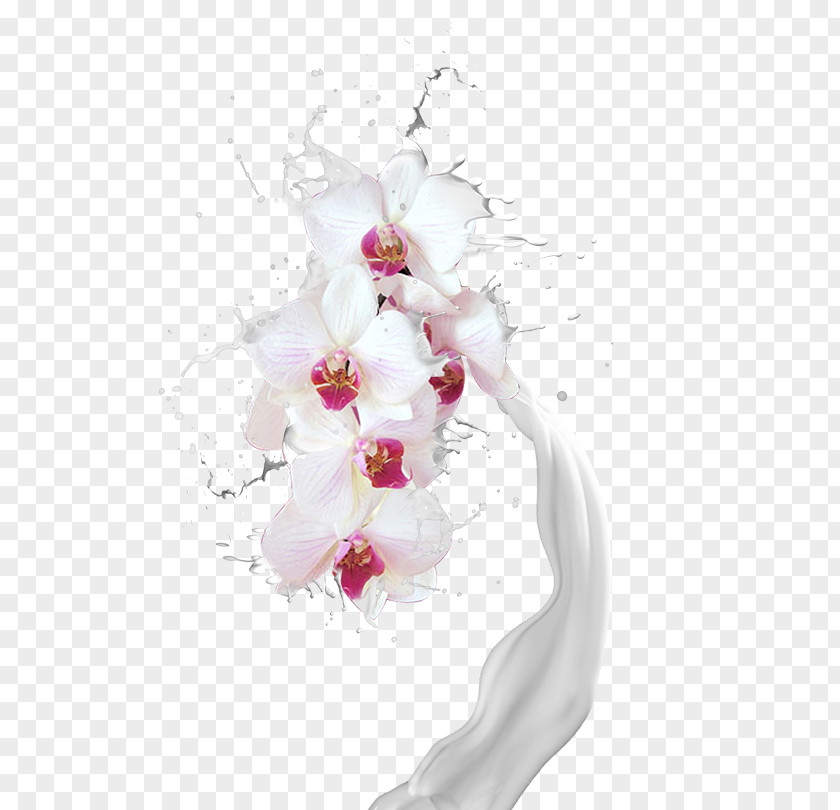 Milk Splash Floral Design Moth Orchids Cut Flowers Flower Bouquet Artificial PNG