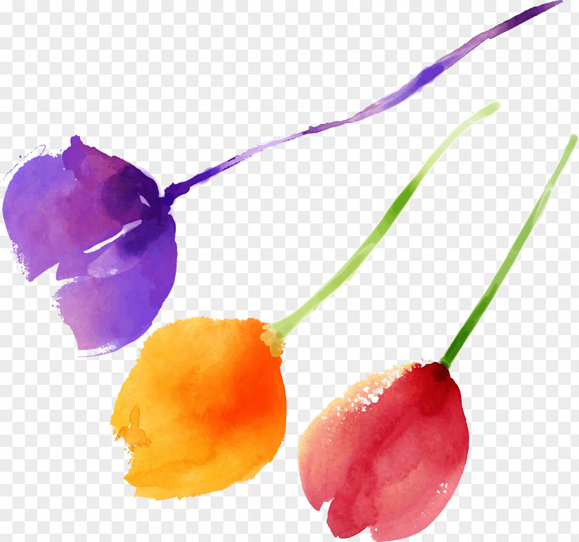 Watercolor Painted Purple Tulip Creative Red Vector PNG