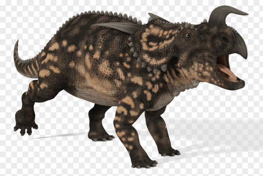 Dinosaur Einiosaurus Brachyceratops Anchiceratops Kosmoceratops PNG