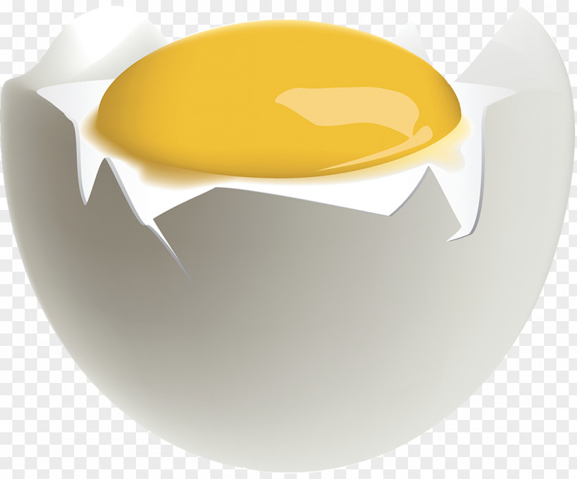 Egg Yolk Drawing Illustration PNG