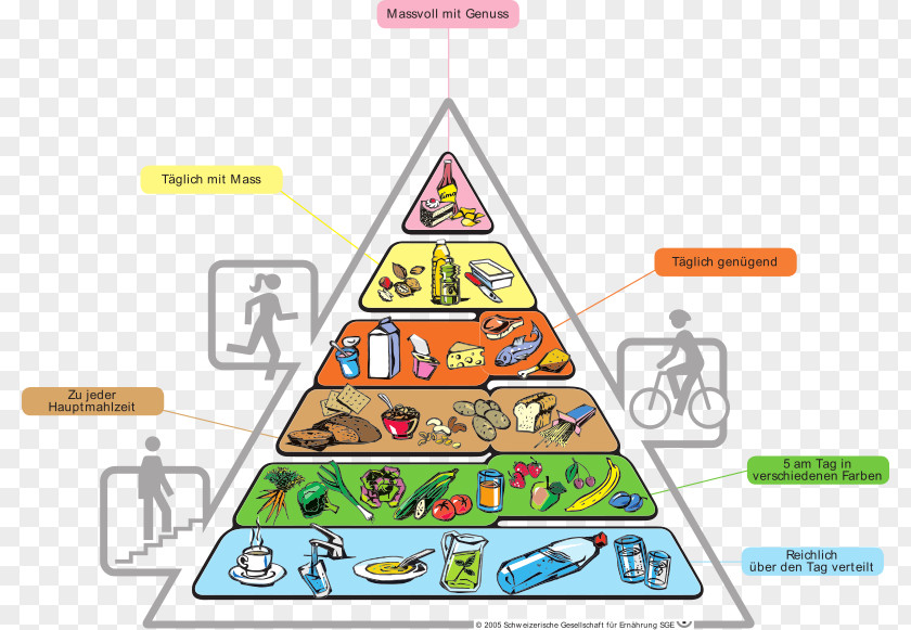 Reasonable Pyramid Diet Structure Food Healthy Eating Group PNG