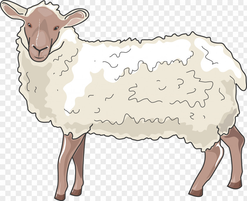Sheep Barbary Cattle Ox Horn PNG