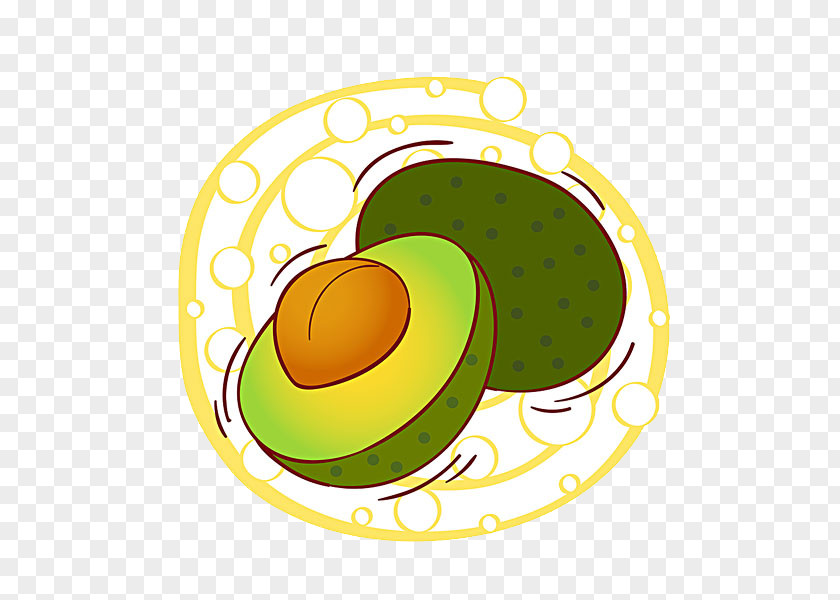 Avocado Fruit Stock Illustration PNG