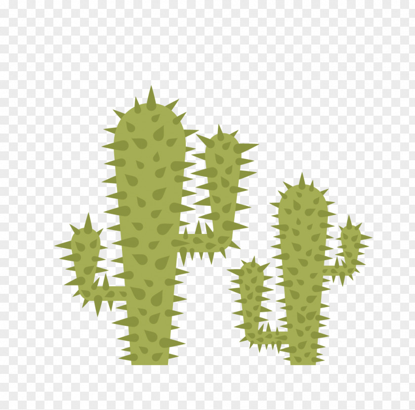 Cactus Cactaceae Thorns, Spines, And Prickles Euclidean Vector PNG