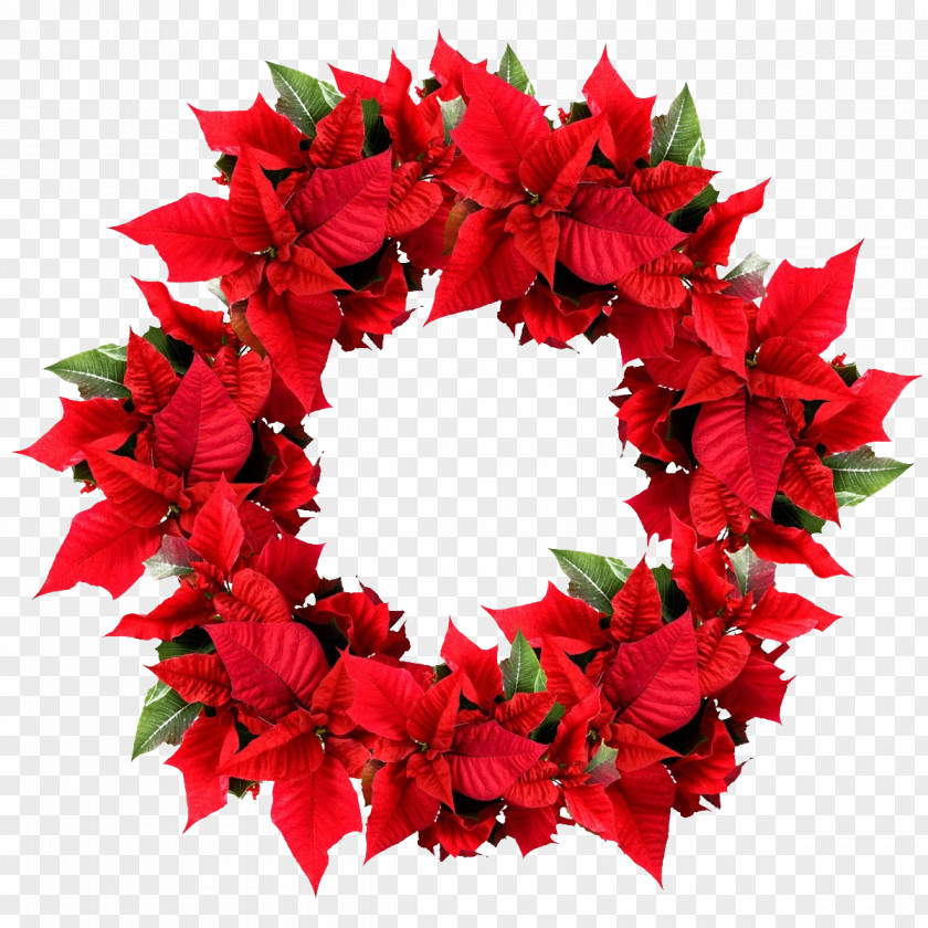 Christmas Garland Stock Photography Wreath PNG