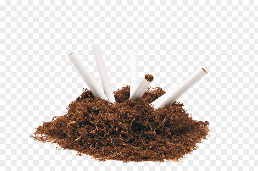 Cigarette Tobacco PNG tobacco clipart PNG