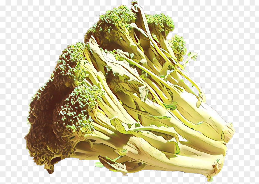 Cuisine Superfood Vegetable Food Leaf Cruciferous Vegetables Plant PNG