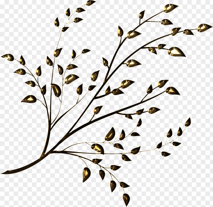 Leaf Twig Branch Plant Stem PNG