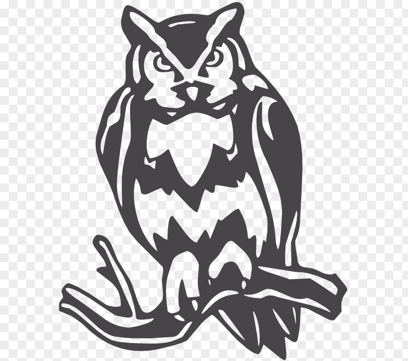 Owl Bird Clip Art PNG