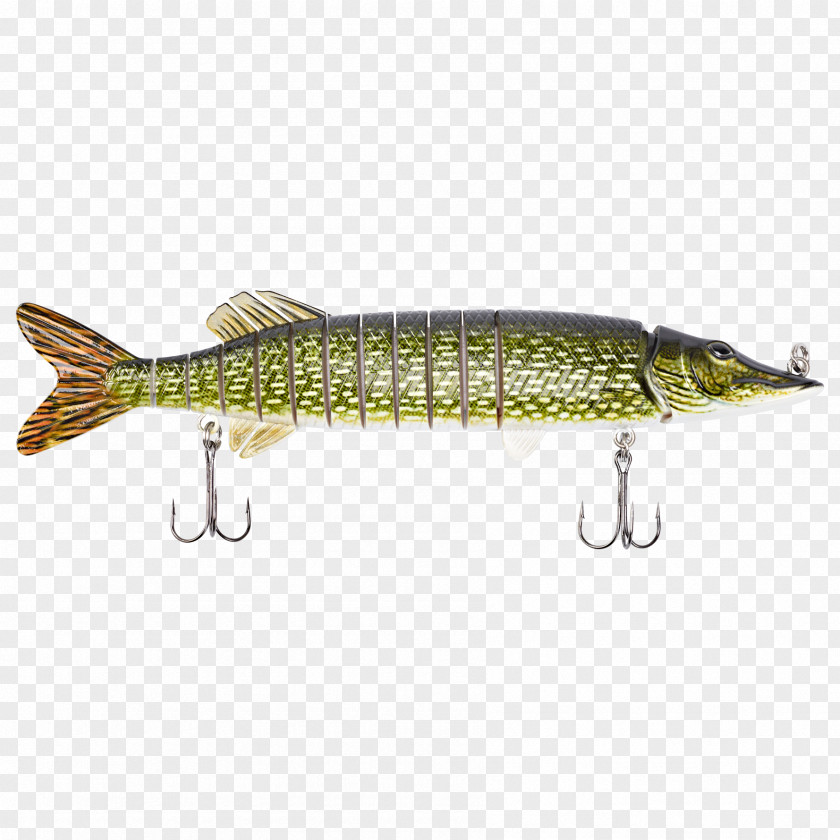 Pike Spoon Lure Northern Sardine Perch Osmeriformes PNG
