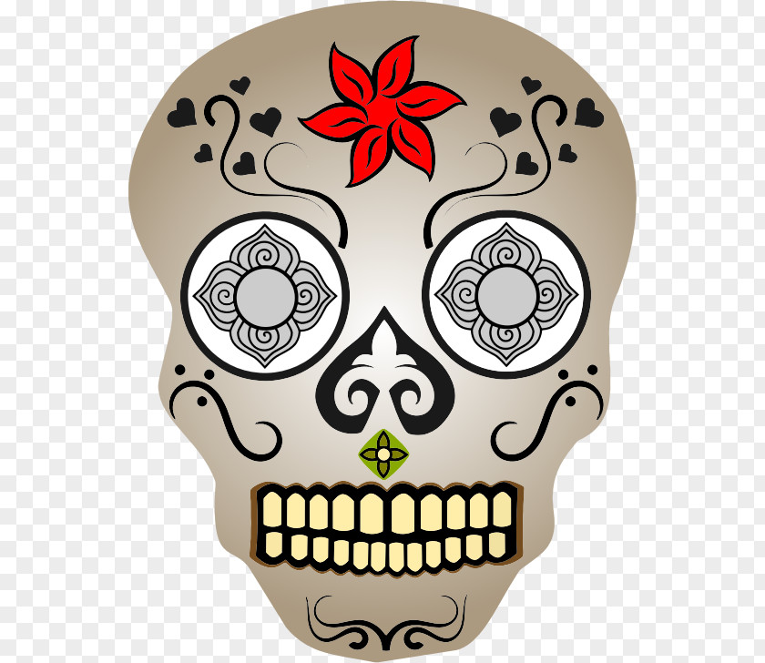 Skull Calavera Human Symbolism Clip Art Vector Graphics PNG