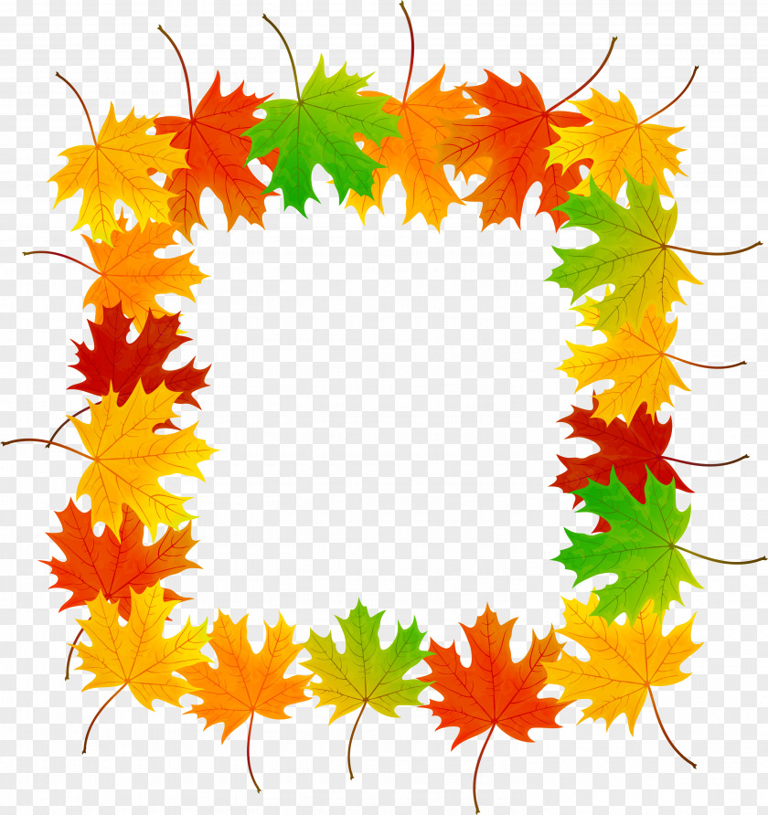 Yellow Maple Leaf Frame PNG