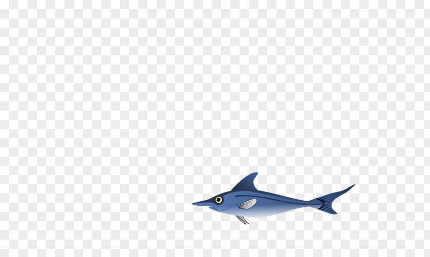 Dolphin Shark Marine Biology Fauna PNG