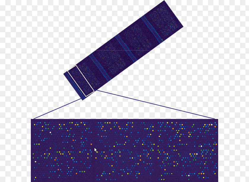 Midocean Ridge Microarray MicroRNA Affymetrix MiRBase PNG