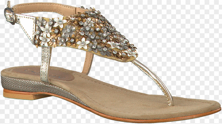 Sandal Shoe Footwear Beige Podeszwa PNG