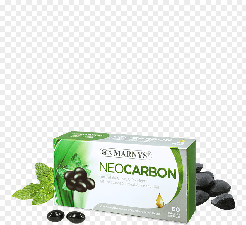 Snack Junior Mint Dietary Supplement Charcoal Activated Carbon PNG