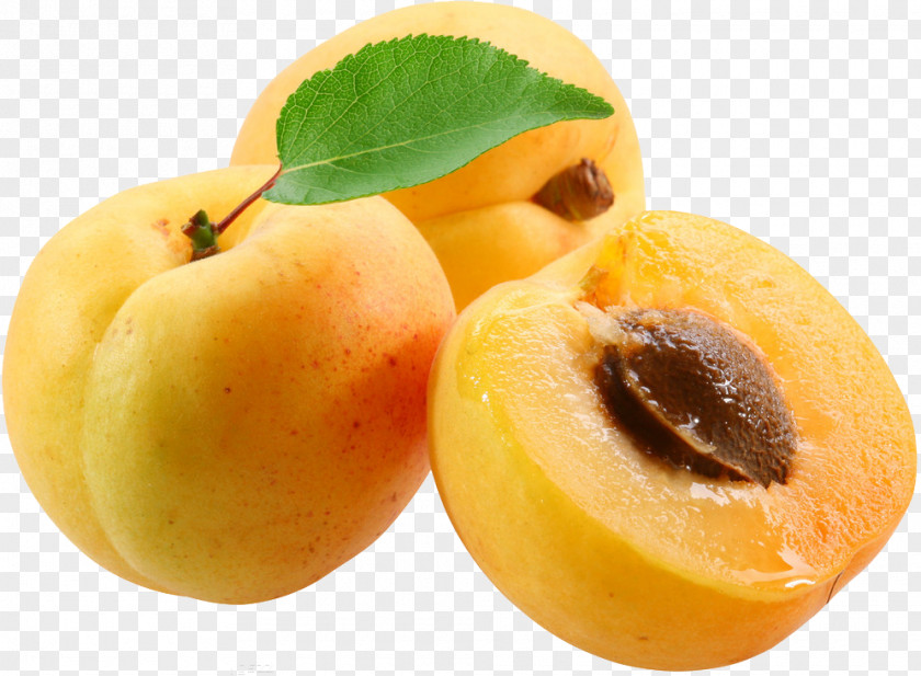 Apricot Kernel Amygdaloideae Peach Fruit PNG