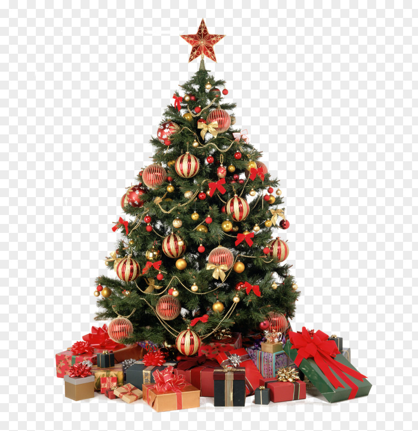 Christmas Decoration Ornament Tree Tinsel PNG