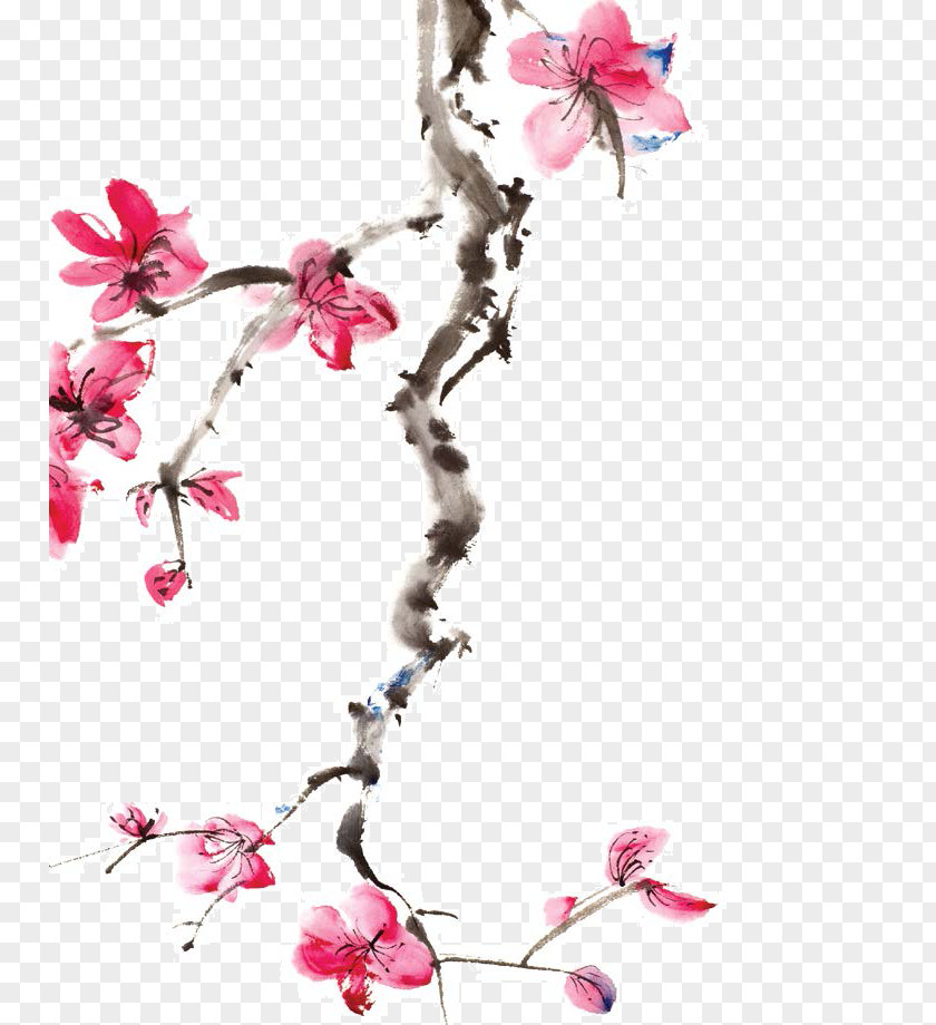 Japan Cherry Blossom Ink Wash Painting PNG