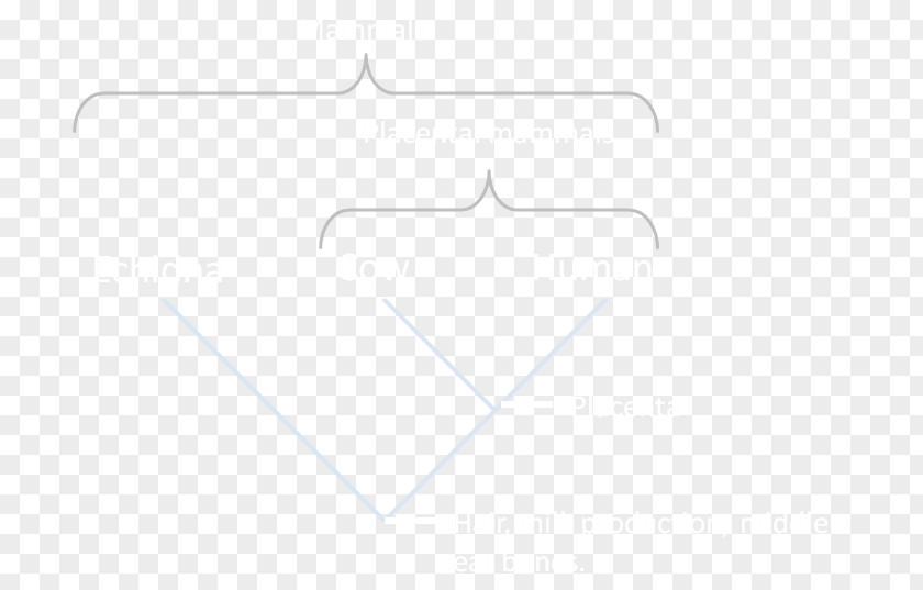 Line Angle PNG