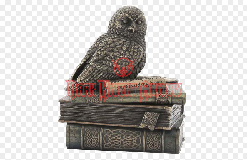 Owl Snowy Bronze Book Box PNG