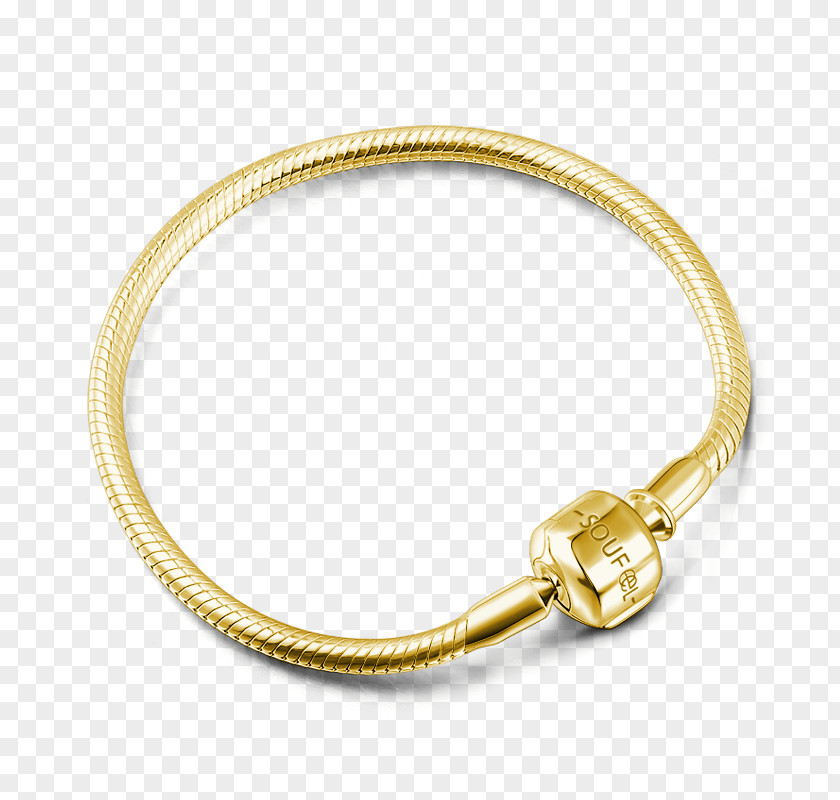 Silver Charm Bracelet Gold Plating PNG