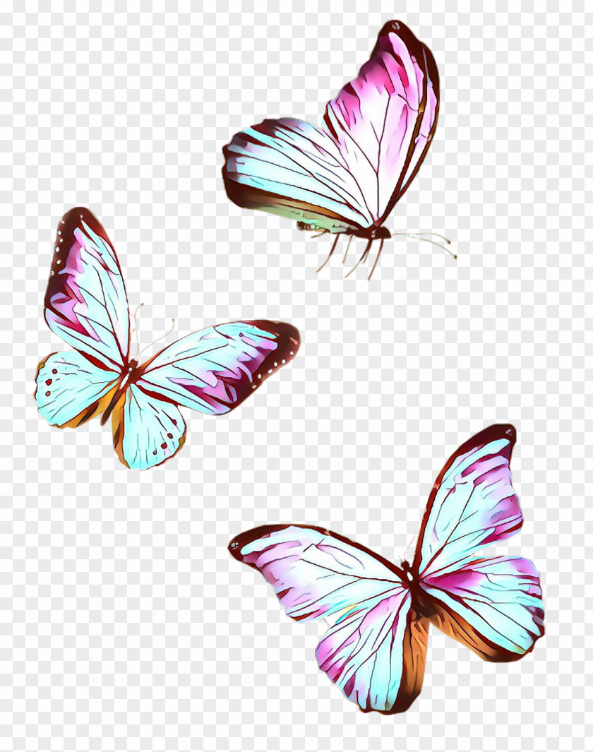 Butterfly Insect Moths And Butterflies Pink Pollinator PNG